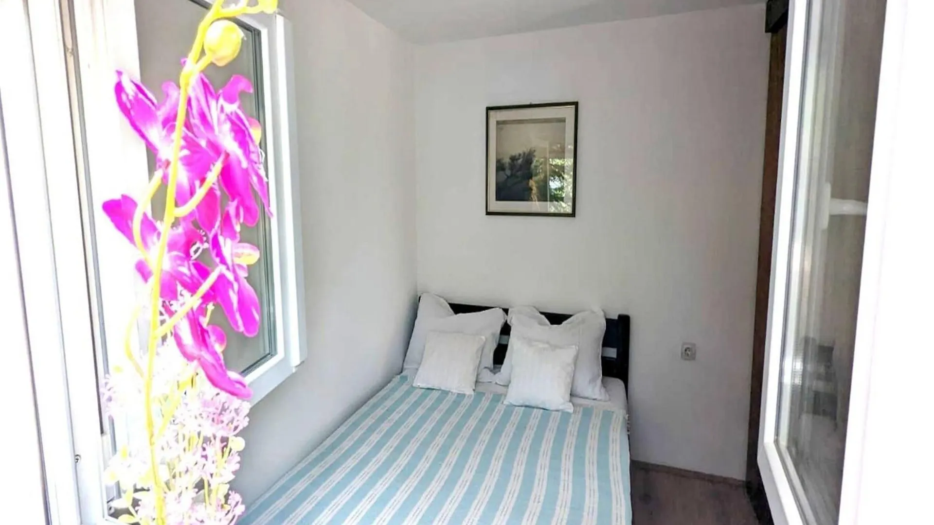 Holiday Home Jaga - Three Bedroom Holiday Home With Swimming Pool Biograd Na Moru Croatia